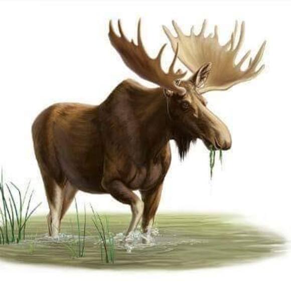 Meet your Posher, Michael - Picture 1 of 1